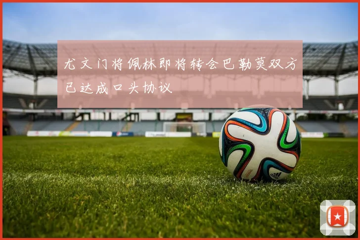 尤文门将佩林即将转会巴勒莫双方已达成口头协议
