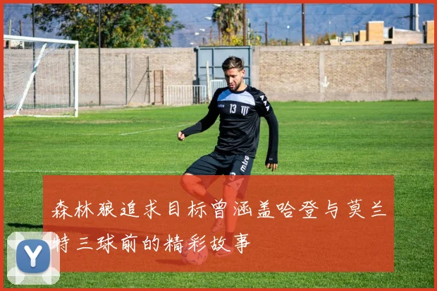 森林狼追求目标曾涵盖哈登与莫兰特三球前的精彩故事