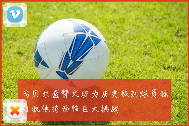 戈贝尔盛赞文班为历史级别球员称对抗他将面临巨大挑战